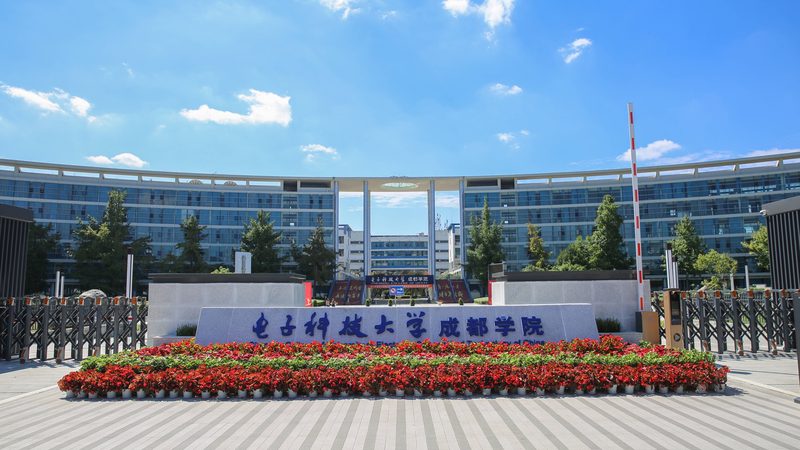 电子元器件加工工艺流程全解析：揭秘从设计到成品的奥秘**
